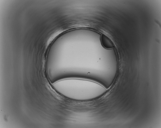 X0000101661179200807101018