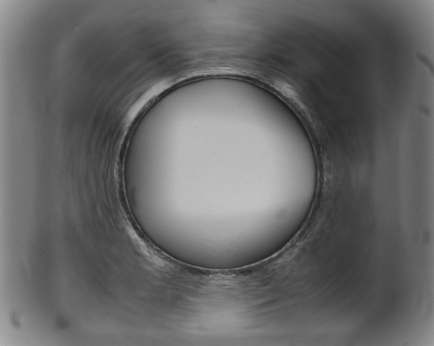 X0000101661181200807101018