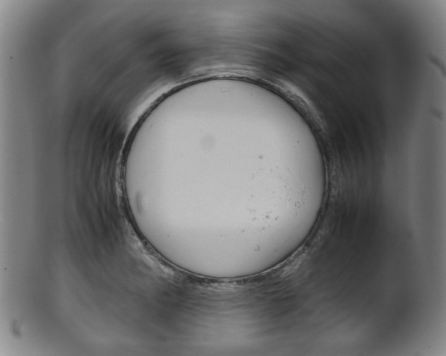 X0000101661182200807101018