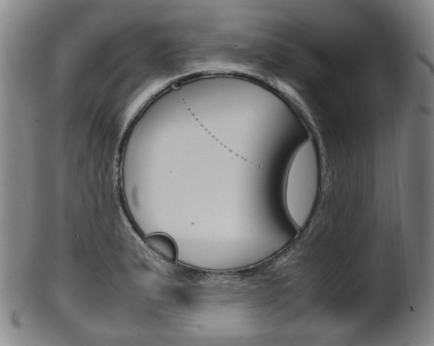 X0000101661183200807101018