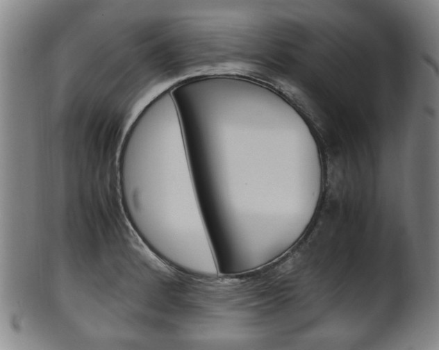 X0000101661184200807101018