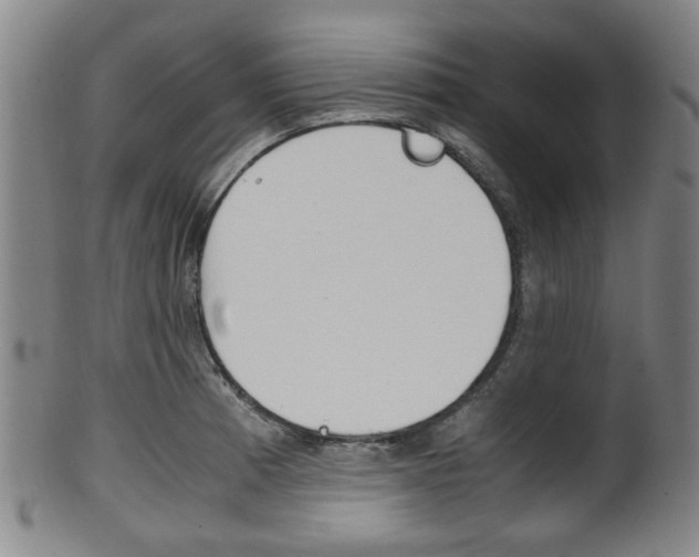 X0000101661185200807101018