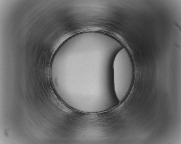 X0000101661186200807101017