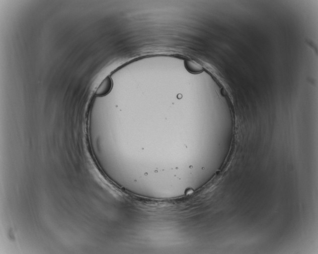 X0000101661187200807101017