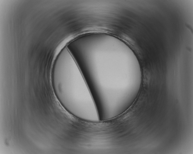 X0000101661188200807101017