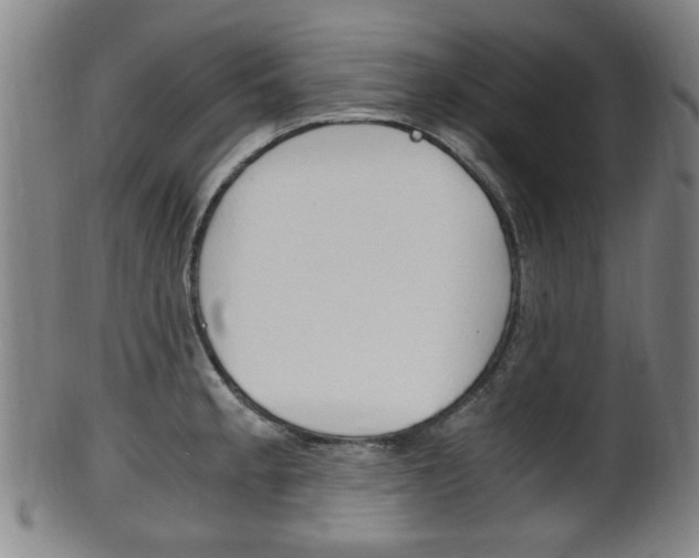 X0000101661189200807101017