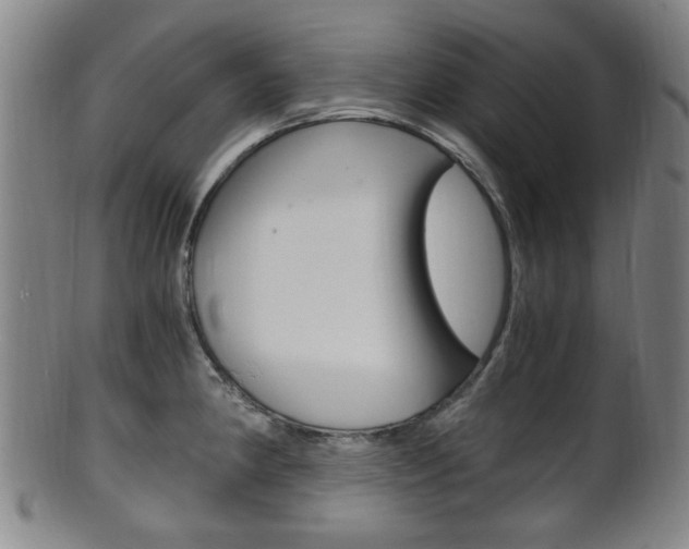 X0000101661190200807101017