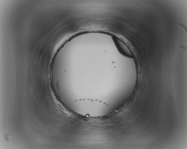 X0000101661191200807101017