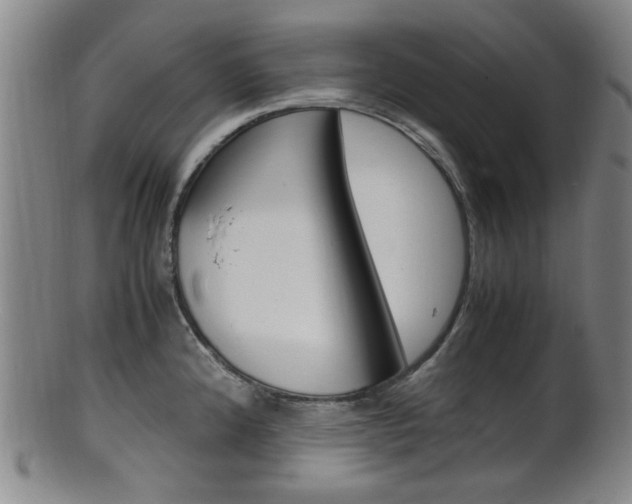 X0000101661192200807101017