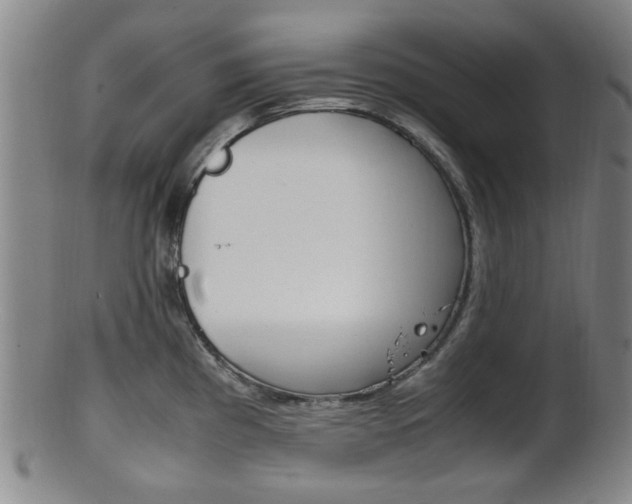 X0000101661193200807101017