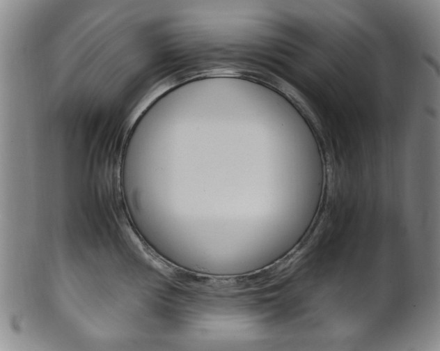 X0000101661194200807101017