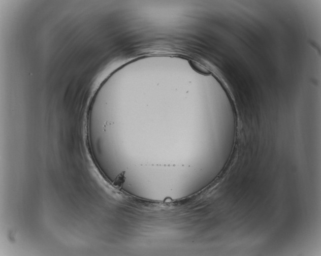 X0000101661195200807101017