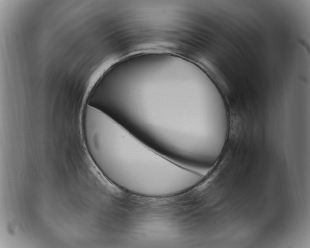 X0000101661196200807101017