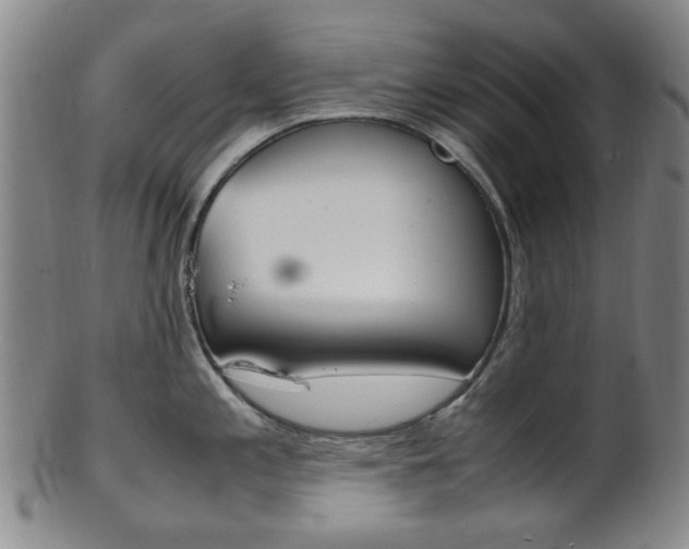 X0000101661197200807101017