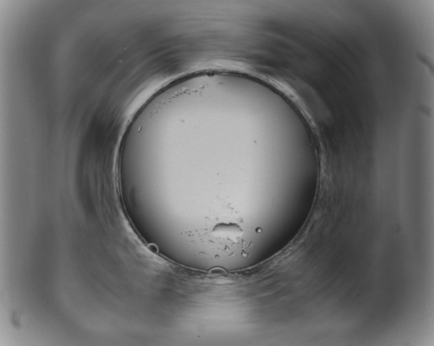 X0000101661199200807101017