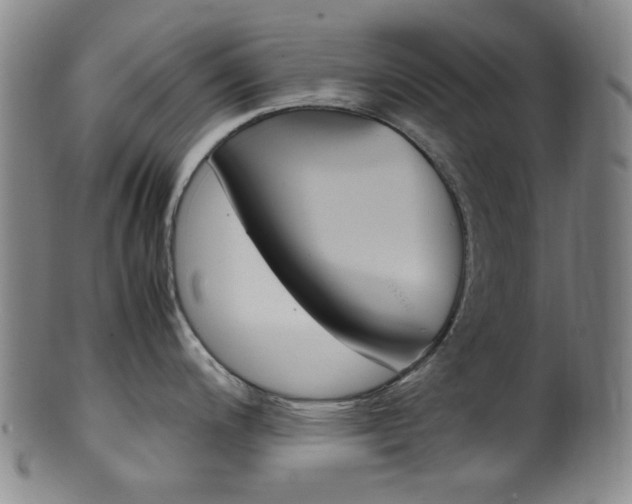 X0000101661200200807101017
