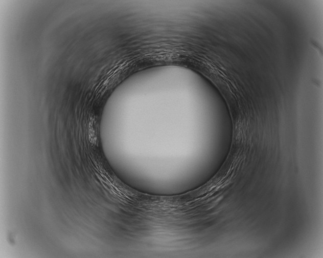 X0000101661202200807101017