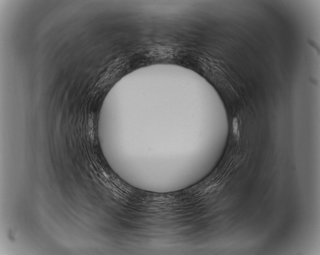 X0000101661203200807101017