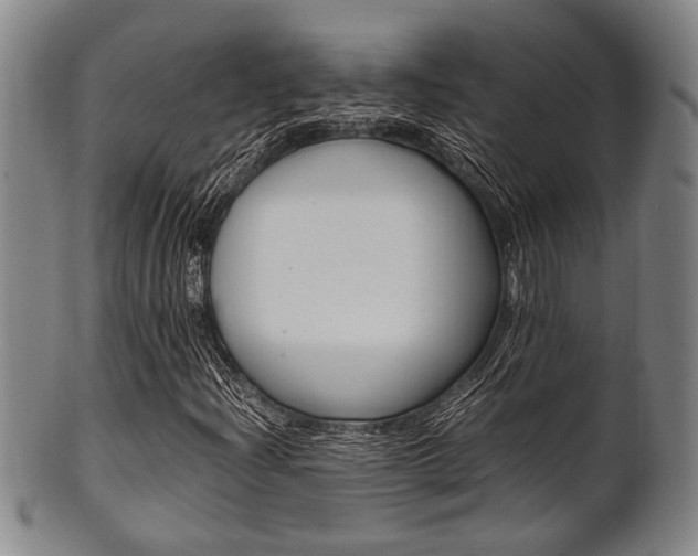 X0000101661204200807101017