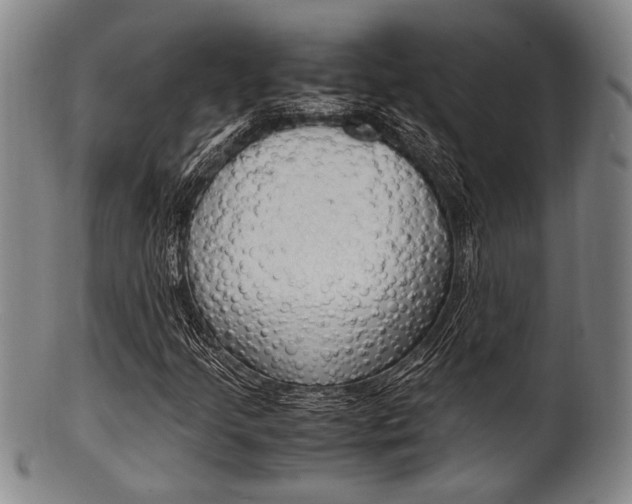 X0000101661205200807101017