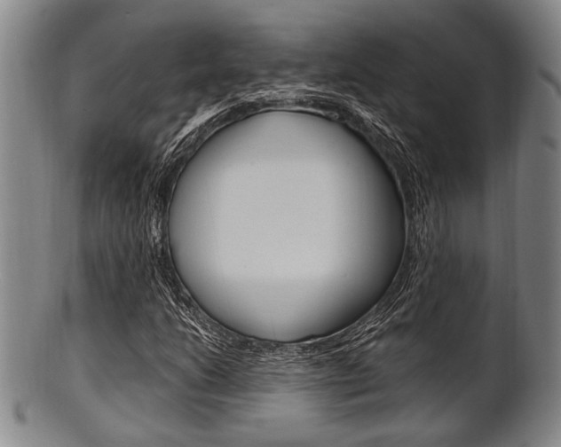X0000101661206200807101017