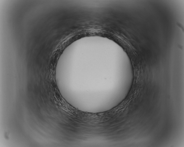X0000101661207200807101017
