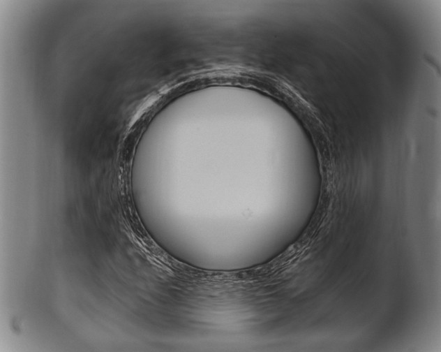 X0000101661208200807101017