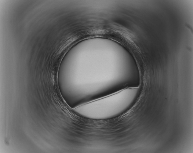 X0000101661209200807101017