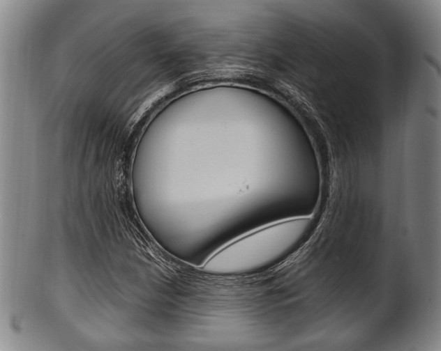 X0000101661210200807101017