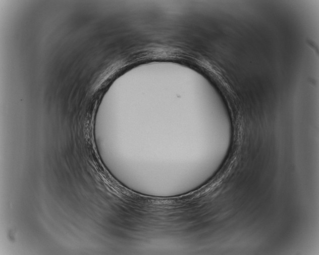 X0000101661211200807101017
