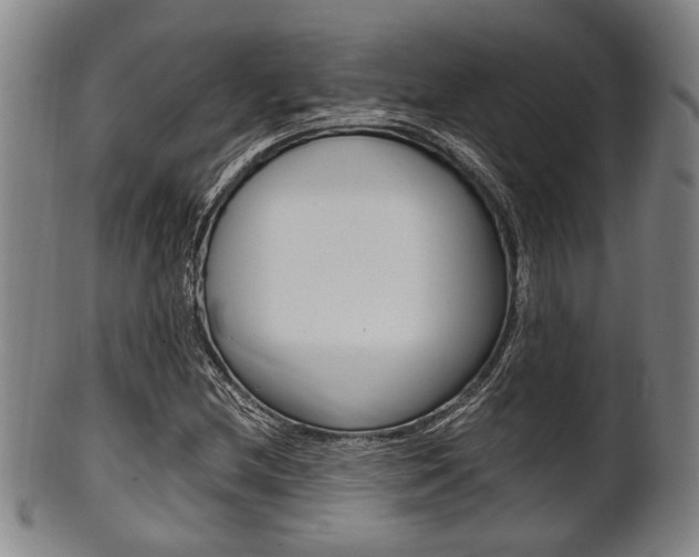X0000101661212200807101017