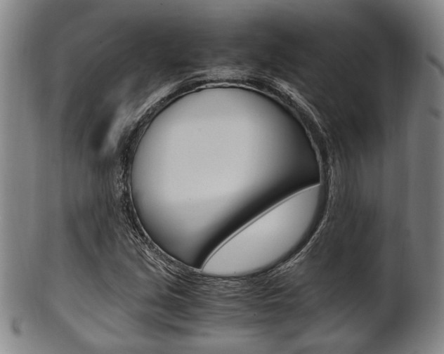 X0000101661213200807101017