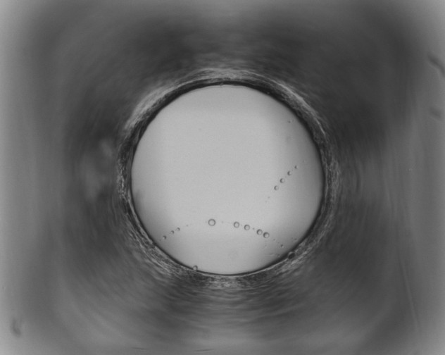 X0000101661215200807101017