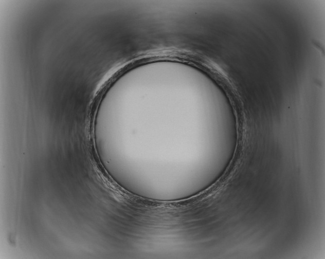 X0000101661216200807101017