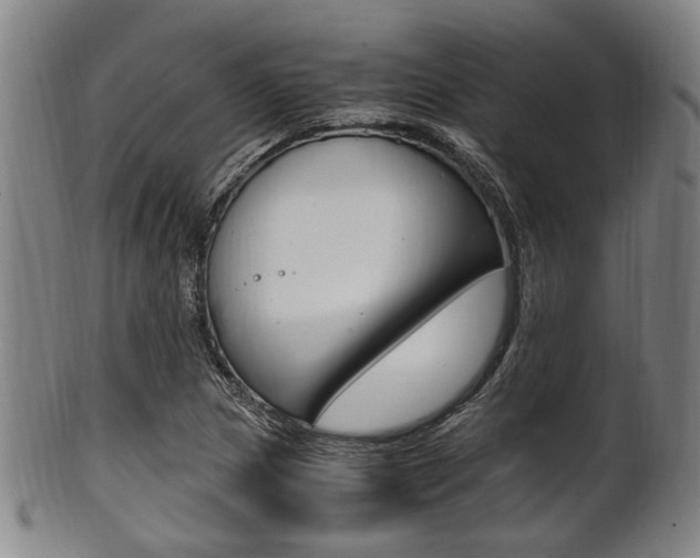 X0000101661217200807101017