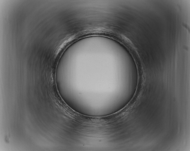 X0000101661218200807101017