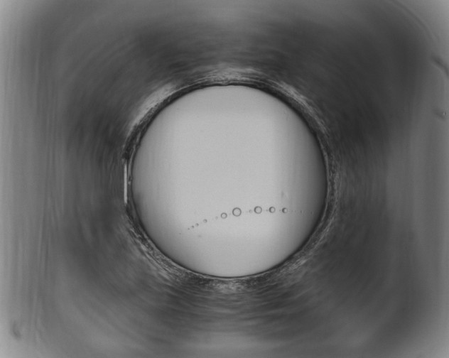 X0000101661219200807101017