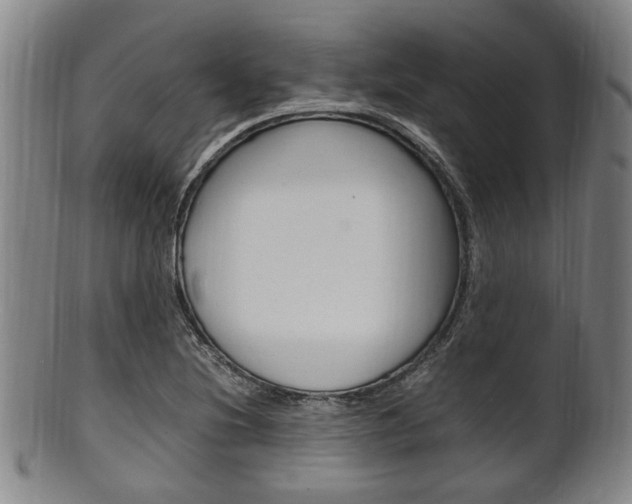 X0000101661220200807101017