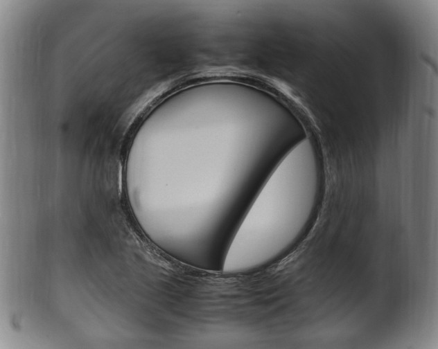X0000101661221200807101017