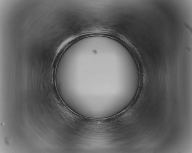 X0000101661222200807101017