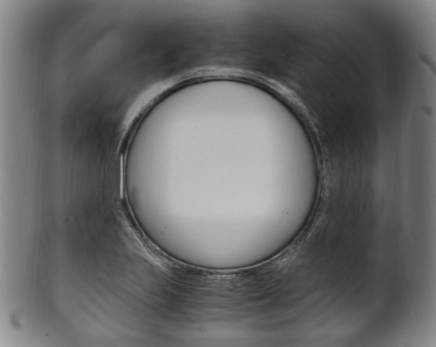 X0000101661223200807101017