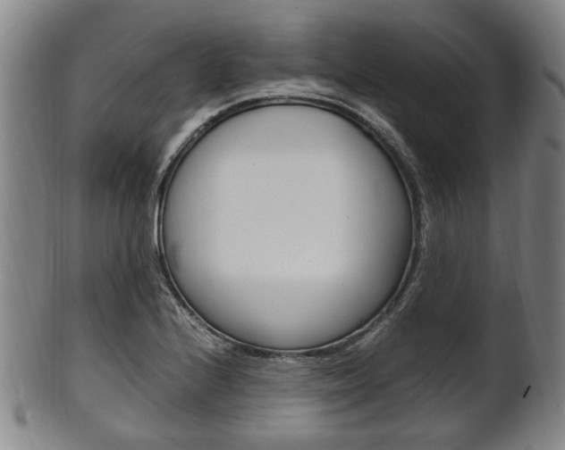 X0000101661224200807101017