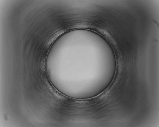 X0000101661225200807101017