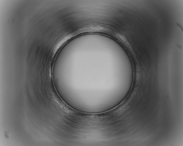 X0000101661226200807101017