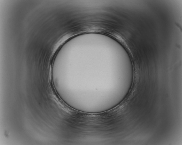 X0000101661227200807101017