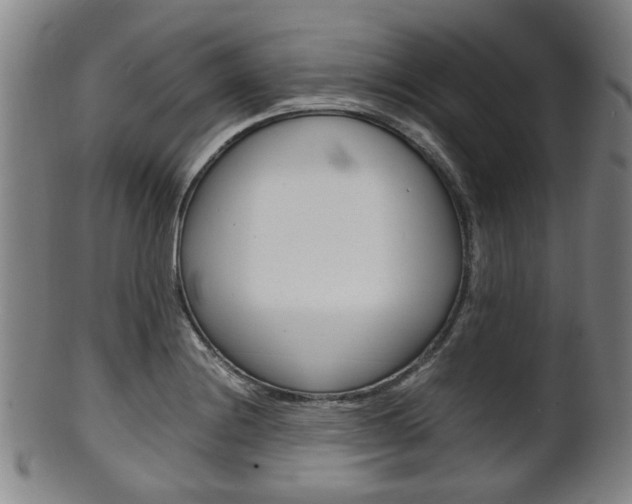 X0000101661228200807101017