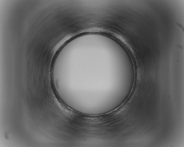 X0000101661229200807101017