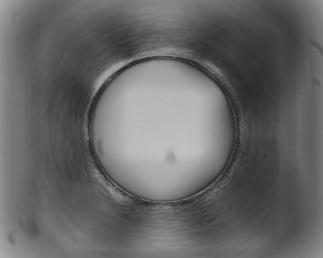 X0000101661230200807101017