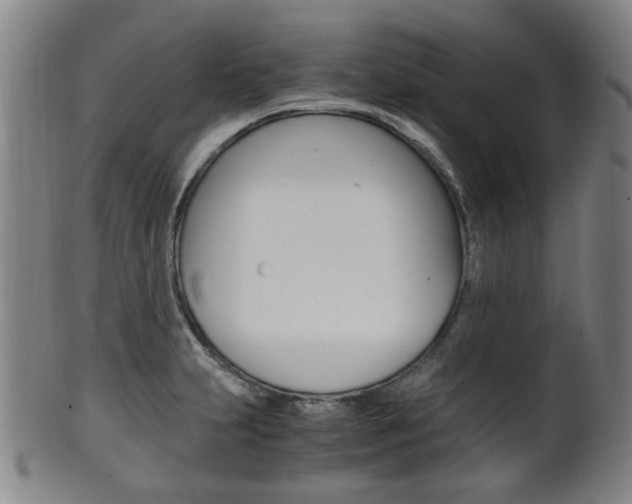 X0000101661231200807101017