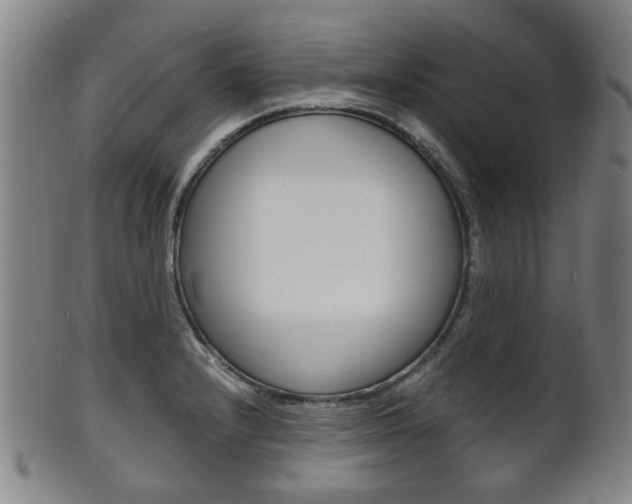 X0000101661232200807101017